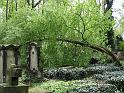 2011-04-16, Eliasfriedhof (70)